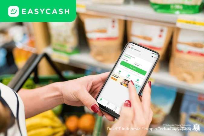Pintu Investasi Asing Terbuka Lebar: Inilah Faktor Penentu Suntikan Dana ke Fintech Lending Indonesia