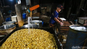 Ilustrasi kedelai.Foto: Gilang Faturahman/detikFoto