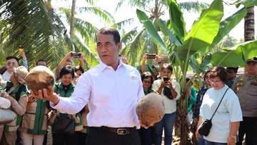 Harga TBS Sawit Anjlok, Menteri Pertanian Minta Bantuan Kepolisian Usut Dugaan Manipulasi Pasar