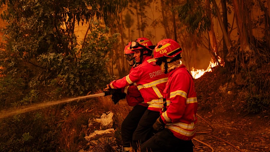 Petugas pemadam kebakaran menangani kebakaran hutan di wilayah Aveiro, Portugal, Rabu (18/9/2024).(Jose Sarmento Matos/Bloomberg)