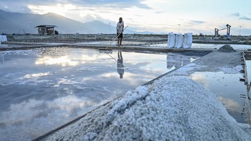 Ilustrasi/Foto: ANTARA FOTO/Basri Marzuki