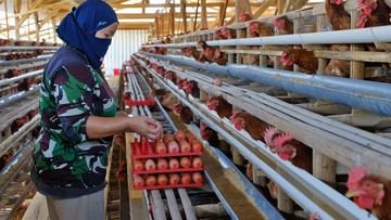 Foto: ANTARA FOTO/ANIS EFIZUDIN