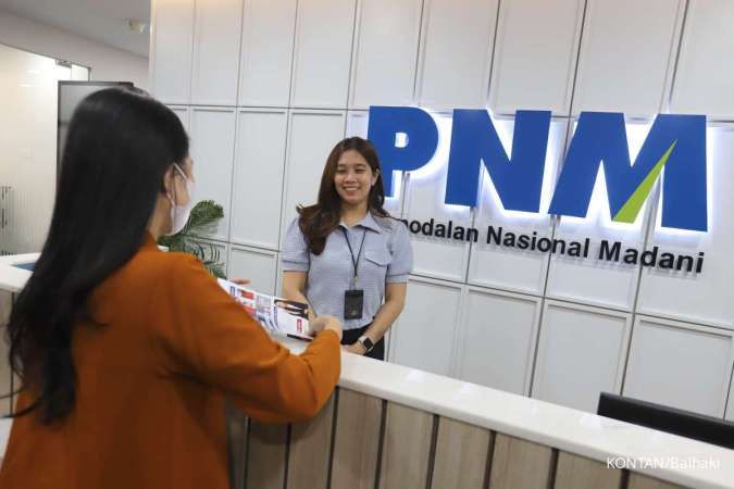 Ilustrasi: Mengapa Penggabungan PNM ke dalam Holding BUMN Asset Management Dinilai Berisiko Tinggi bagi UMKM?