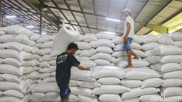 Foto: Andhika Prasetia/DetikFoto