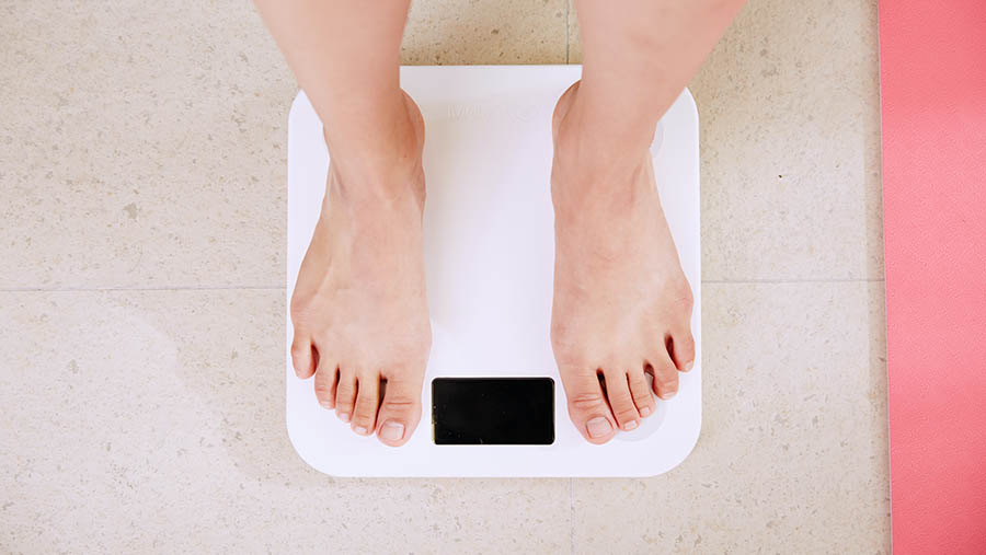Kenali Indikator Kebugaran Tubuh: Panduan Lengkap Menghitung BMI untuk Berat Badan Ideal