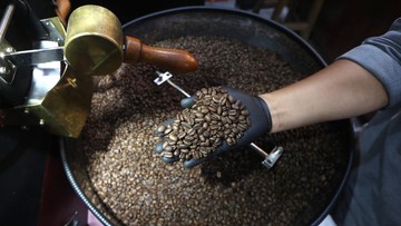Kopi Indonesia Makin Mendunia: Ekspor ke Maroko dan China Melonjak