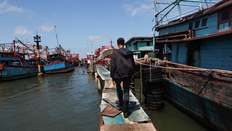 Kampung Nelayan Merah Putih Dongkrak Produktivitas dan Ekonomi Lokal Hingga 30%