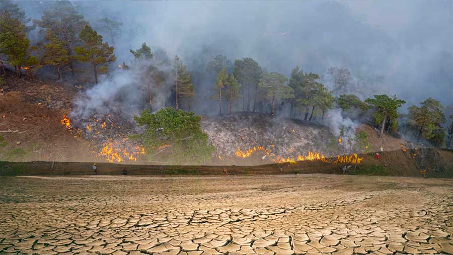 Ribuan Terpaksa Mengungsi Saat Api Melalap Hutan Prancis dan Spanyol